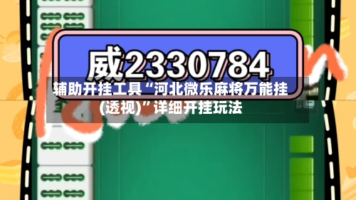 辅助开挂工具“河北微乐麻将万能挂(透视)	”详细开挂玩法-第1张图片