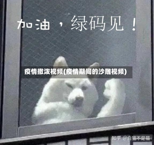 疫情撒泼视频(疫情期间的沙雕视频)-第3张图片