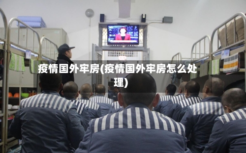 疫情国外牢房(疫情国外牢房怎么处理)-第2张图片