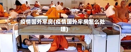 疫情国外牢房(疫情国外牢房怎么处理)-第3张图片