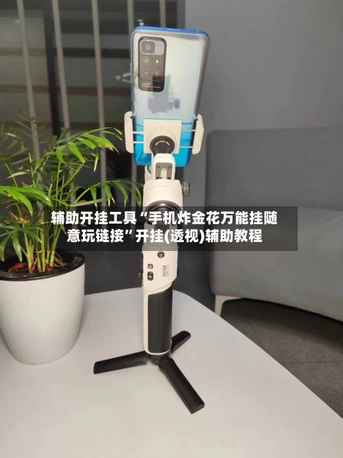 辅助开挂工具“手机炸金花万能挂随意玩链接”开挂(透视)辅助教程-第3张图片