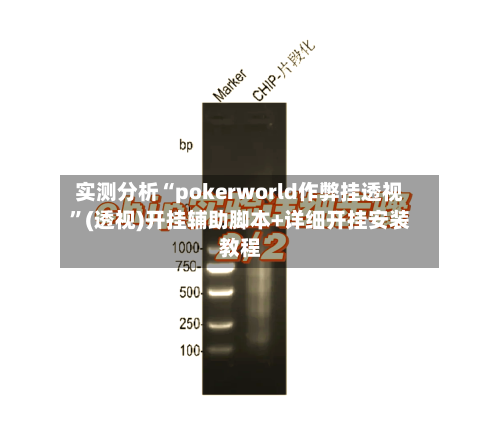 实测分析“pokerworld作弊挂透视”(透视)开挂辅助脚本+详细开挂安装教程-第2张图片