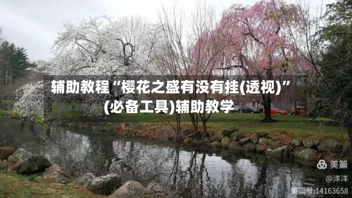 辅助教程“樱花之盛有没有挂(透视)	”(必备工具)辅助教学-第2张图片