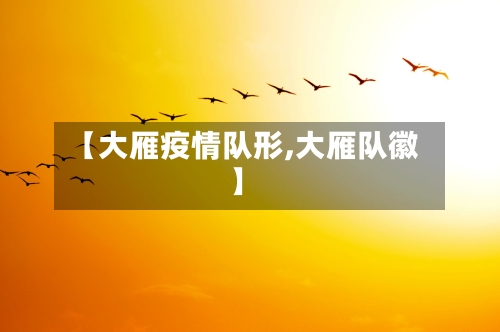 【大雁疫情队形,大雁队徽】-第1张图片