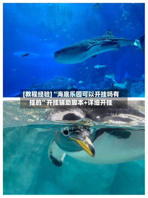 [教程经验]“海底乐园可以开挂吗有挂的”开挂辅助脚本+详细开挂