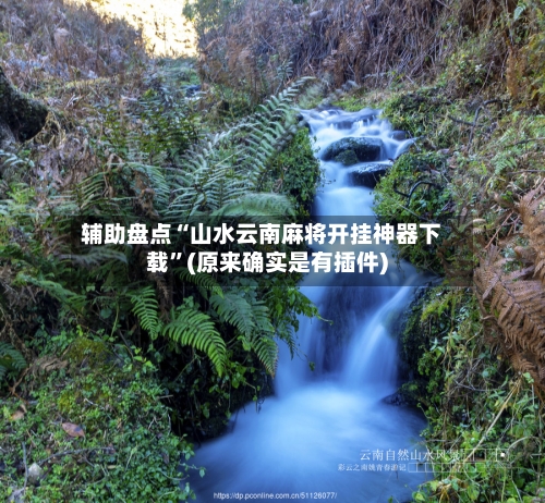 辅助盘点“山水云南麻将开挂神器下载”(原来确实是有插件)-第3张图片