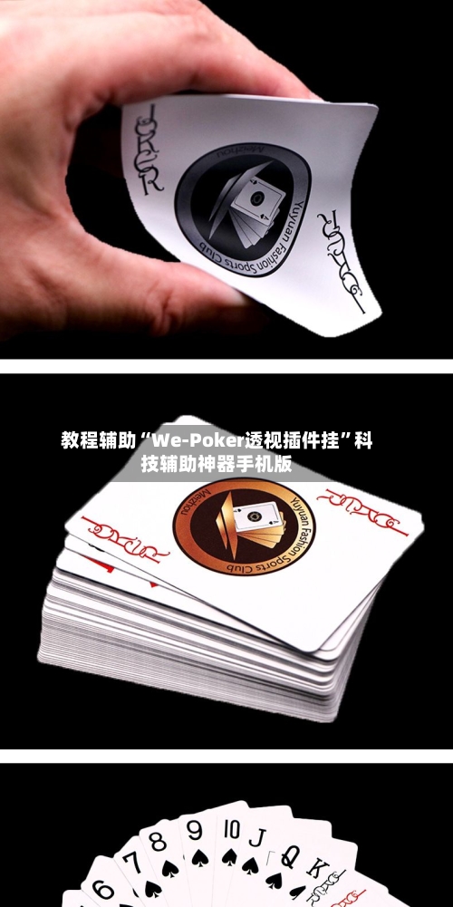 教程辅助“We-Poker透视插件挂”科技辅助神器手机版-第2张图片