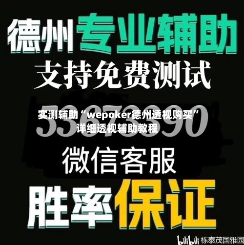实测辅助“wepoker德州透视购买”详细透视辅助教程-第3张图片