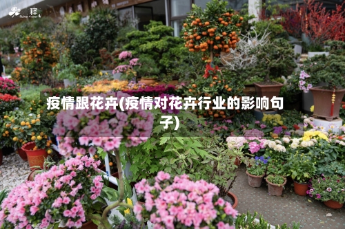 疫情跟花卉(疫情对花卉行业的影响句子)-第2张图片