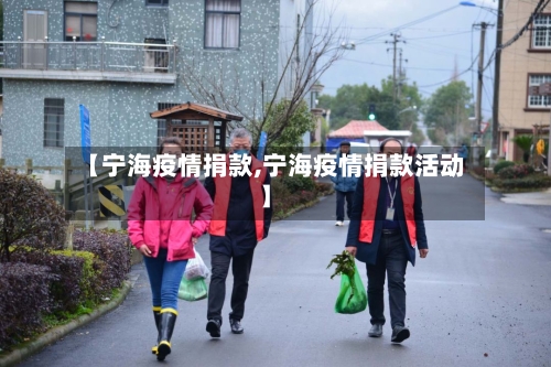 【宁海疫情捐款,宁海疫情捐款活动】-第2张图片