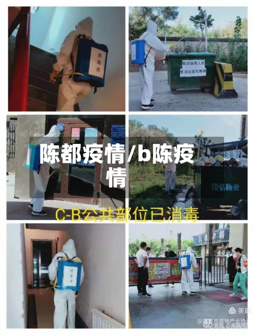 陈都疫情/b陈疫情-第1张图片