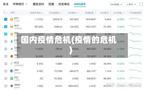 国内疫情危机(疫情的危机)-第1张图片