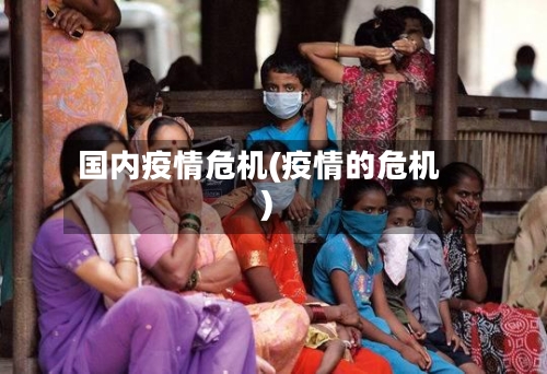 国内疫情危机(疫情的危机)-第2张图片
