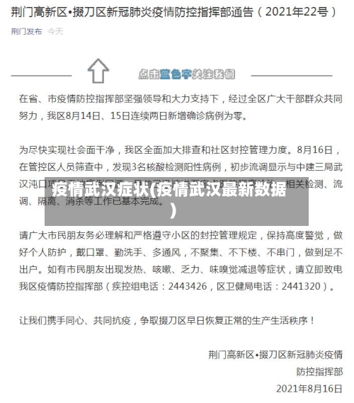 疫情武汉症状(疫情武汉最新数据)-第2张图片