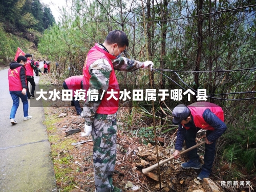 大水田疫情/大水田属于哪个县-第3张图片