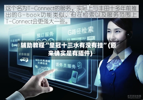 辅助教程“皇冠十三水有没有挂	”(原来确实是有插件)-第2张图片