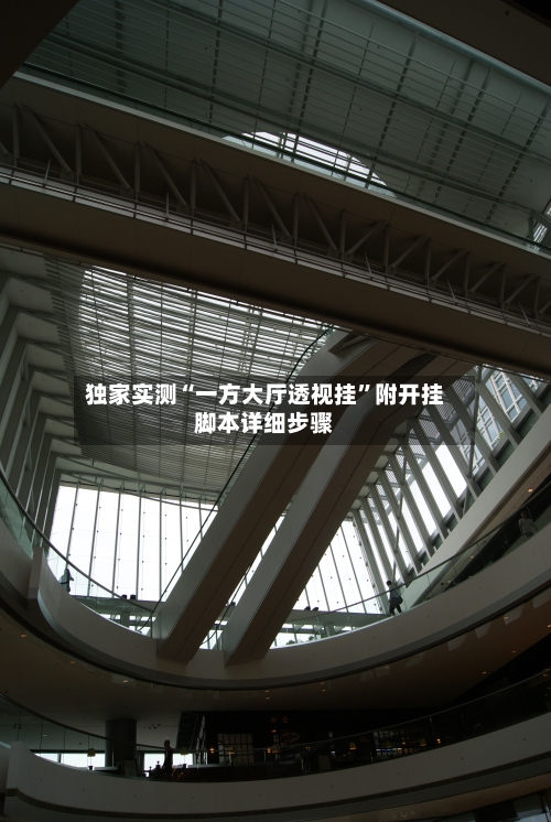 独家实测“一方大厅透视挂”附开挂脚本详细步骤-第2张图片