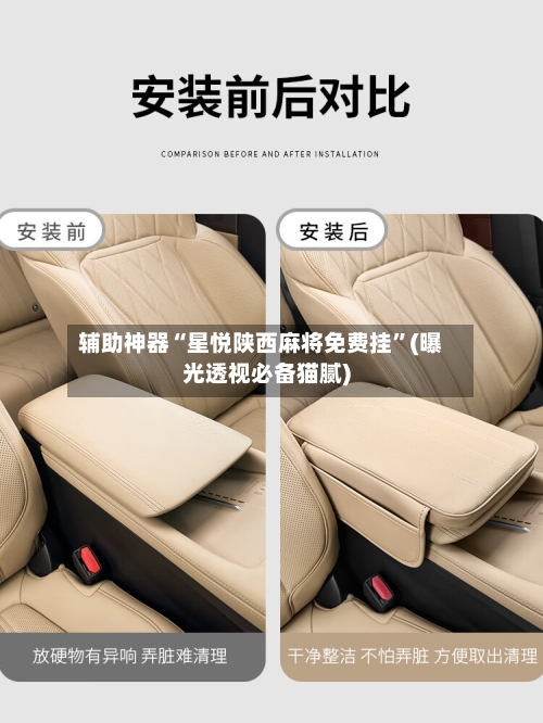 辅助神器“星悦陕西麻将免费挂	”(曝光透视必备猫腻)-第1张图片