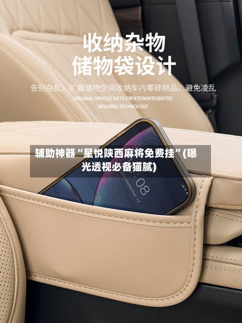 辅助神器“星悦陕西麻将免费挂”(曝光透视必备猫腻)-第2张图片