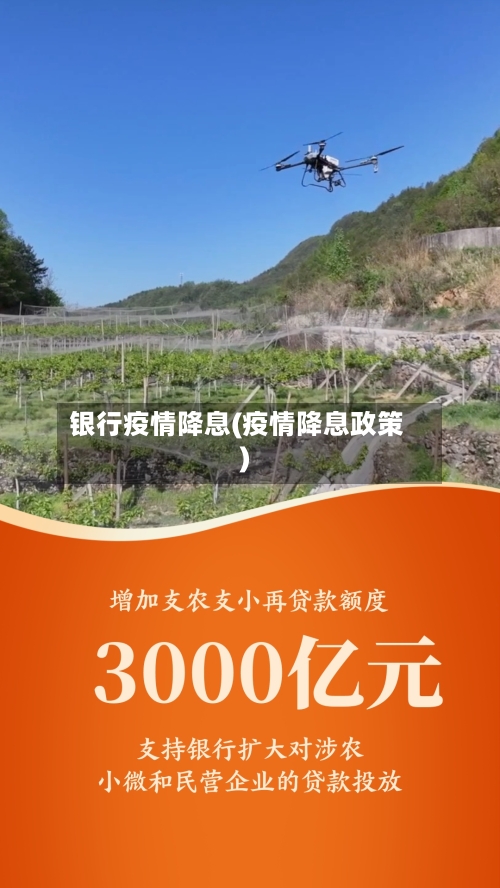银行疫情降息(疫情降息政策)-第3张图片