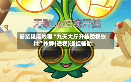 安装程序教程“九天大厅开挂透视软件”作弊(透视)透视辅助-第1张图片