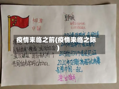 疫情来临之前(疫情来临之际)-第1张图片