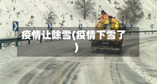 疫情让除雪(疫情下雪了)-第2张图片