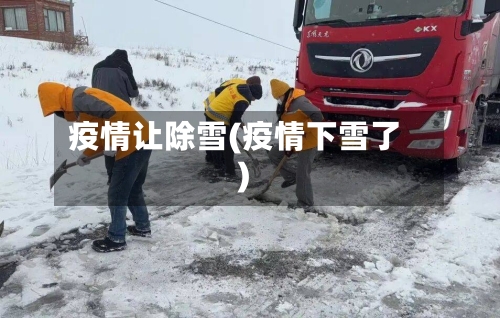 疫情让除雪(疫情下雪了)-第1张图片