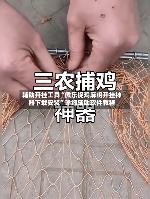 辅助开挂工具“微乐捉鸡麻将开挂神器下载安装”详细辅助软件教程-第3张图片