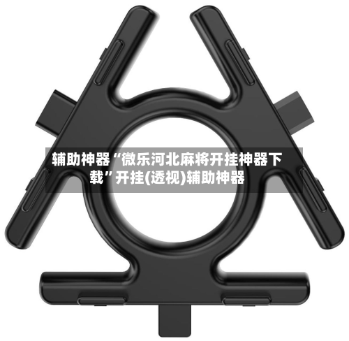 辅助神器“微乐河北麻将开挂神器下载”开挂(透视)辅助神器-第2张图片