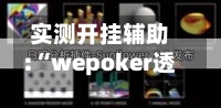 实测开挂辅助:“wepoker透视脚本官网	”(透视挂)辅助神器教程-第1张图片