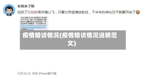 疫情暗访情况(疫情暗访情况说明范文)-第1张图片