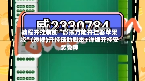 教程开挂辅助“微乐万能开挂器苹果版”(透视)开挂辅助脚本+详细开挂安装教程