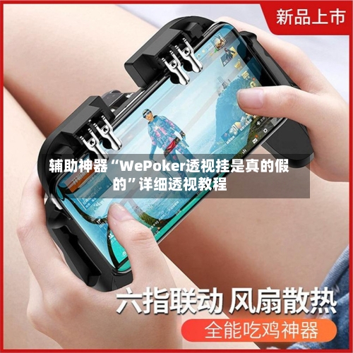 辅助神器“WePoker透视挂是真的假的”详细透视教程-第1张图片