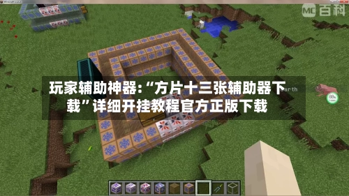 玩家辅助神器:“方片十三张辅助器下载”详细开挂教程官方正版下载-第2张图片