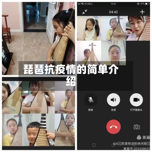 琵琶抗疫情的简单介绍-第3张图片