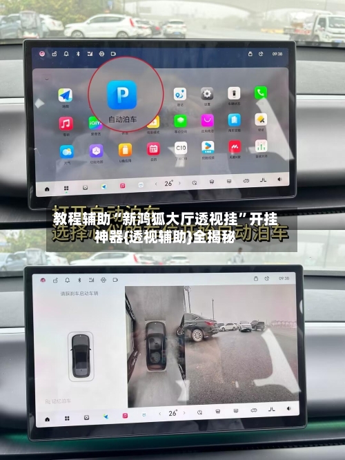 教程辅助“新鸿狐大厅透视挂”开挂神器{透视辅助}全揭秘