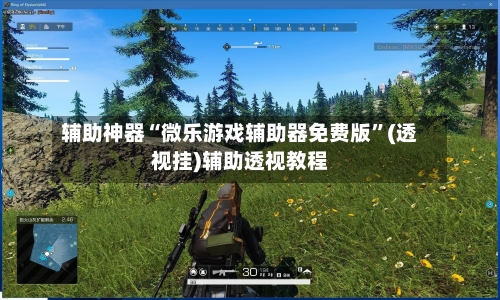 辅助神器“微乐游戏辅助器免费版”(透视挂)辅助透视教程-第1张图片