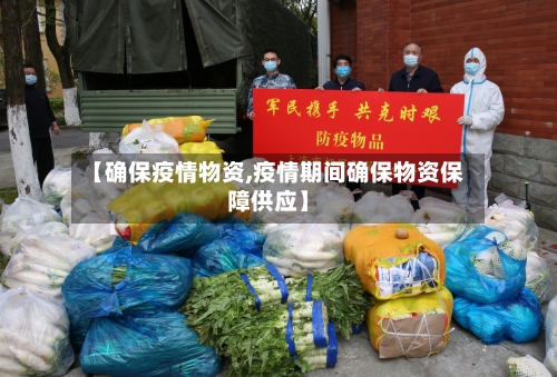 【确保疫情物资,疫情期间确保物资保障供应】-第3张图片