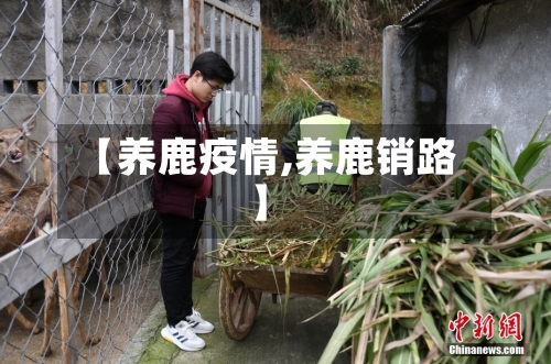 【养鹿疫情,养鹿销路】-第1张图片