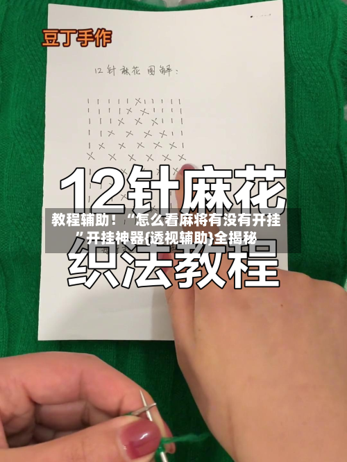 教程辅助！“怎么看麻将有没有开挂	”开挂神器{透视辅助}全揭秘-第3张图片