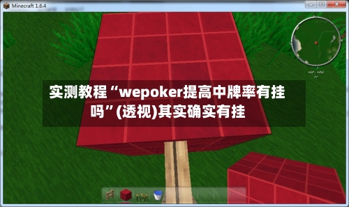 实测教程“wepoker提高中牌率有挂吗	”(透视)其实确实有挂-第2张图片