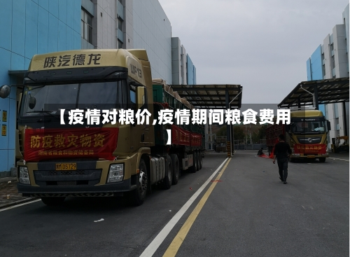 【疫情对粮价,疫情期间粮食费用】-第1张图片