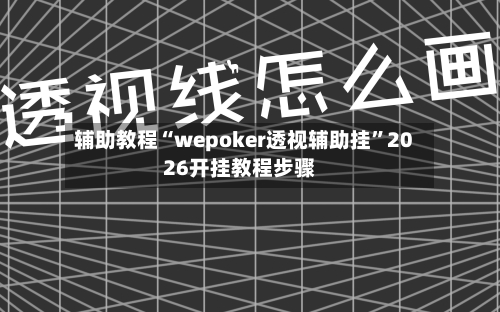 辅助教程“wepoker透视辅助挂	”2026开挂教程步骤-第3张图片