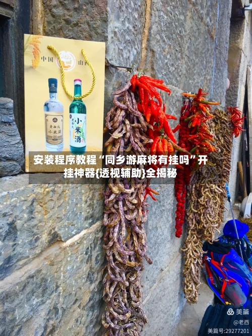 安装程序教程“同乡游麻将有挂吗”开挂神器{透视辅助}全揭秘-第3张图片