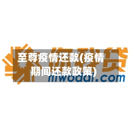 至尊疫情还款(疫情期间还款政策)-第3张图片