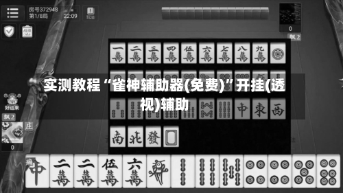 实测教程“雀神辅助器(免费)”开挂(透视)辅助-第1张图片