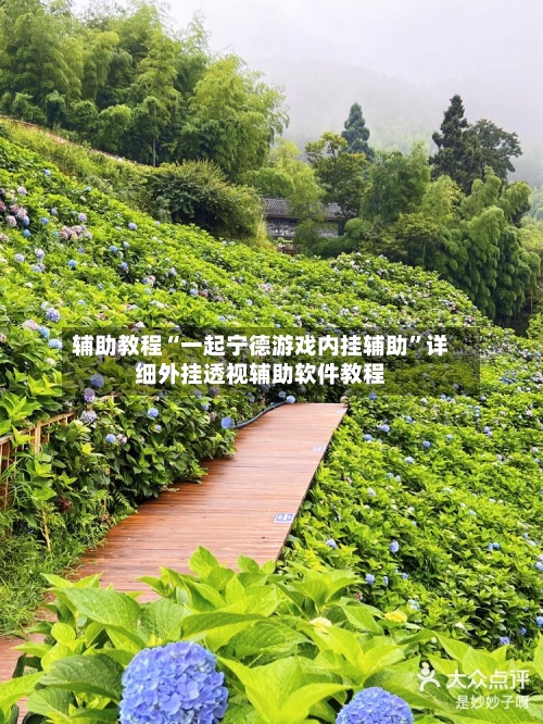 辅助教程“一起宁德游戏内挂辅助”详细外挂透视辅助软件教程-第1张图片