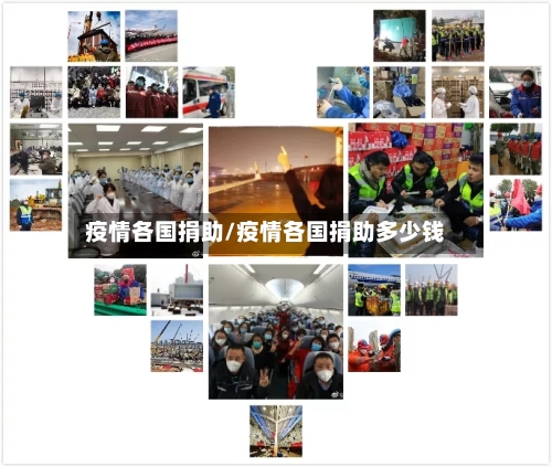 疫情各国捐助/疫情各国捐助多少钱