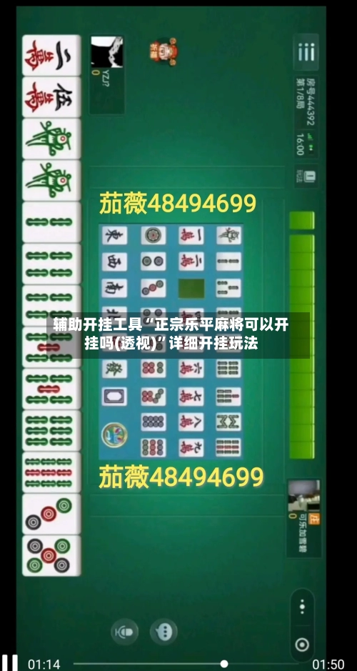 辅助开挂工具“正宗乐平麻将可以开挂吗(透视)”详细开挂玩法-第1张图片